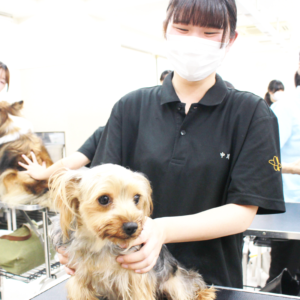 動物看護実習☆